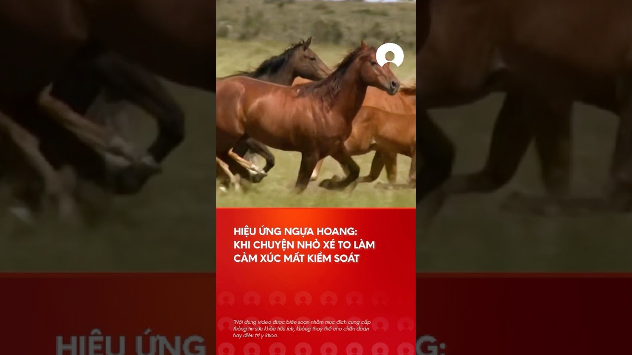 Khi nhá»¯ng cÄƒng tháº³ng nhá» cÅ©ng cÃ³ thá»ƒ khiáº¿n báº¡n bÃ¹ng ná»• #shorts #cangthang #stress