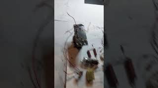 tube amplifier demolition