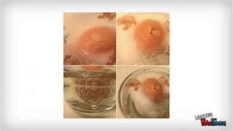 The disappearing Egg shell experiment by Emilia an