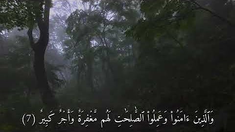 من سـورة فاطِـر || للقارئ ماهـِر المعيقلي .