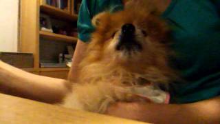 DSCF7051.AVI
