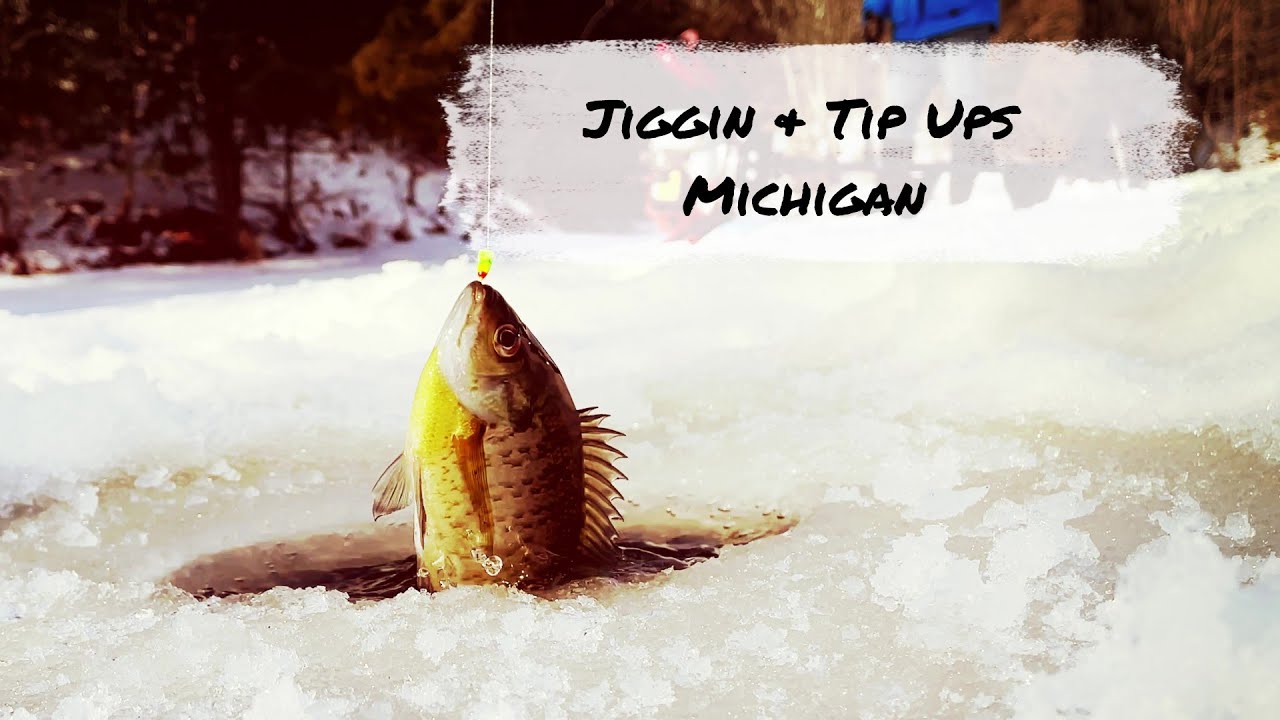Ice Fishing Michigan 2022! Jiggin and Tip Ups! YouTube