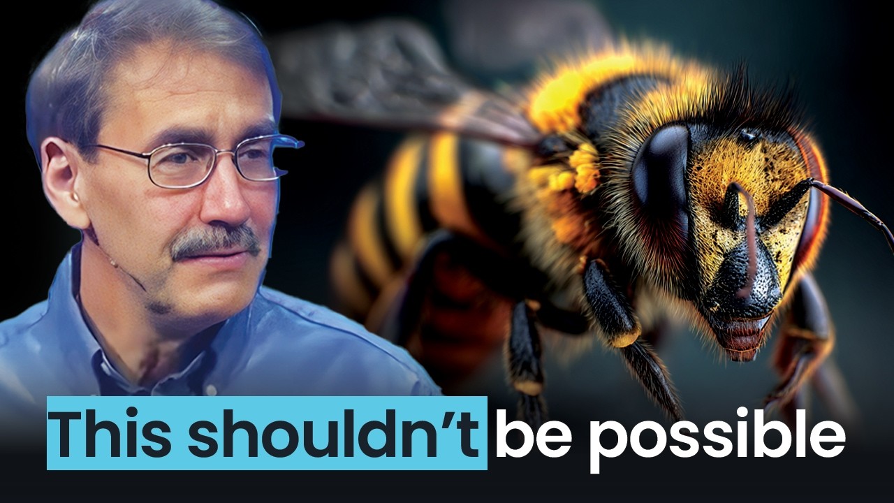 Невероятный дизайн медоносных пчел: доказательство гениального творца