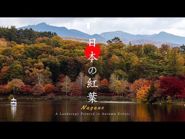 紅葉「い・ろ・は」 大切な想い出。秋 Japan in Its Most Beautiful Autumn Colors - YouTube