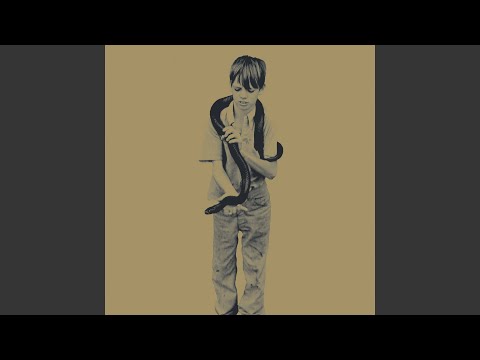 洋楽 Primal Scream Dolls Youth Killing Joke s-l1200.jpg