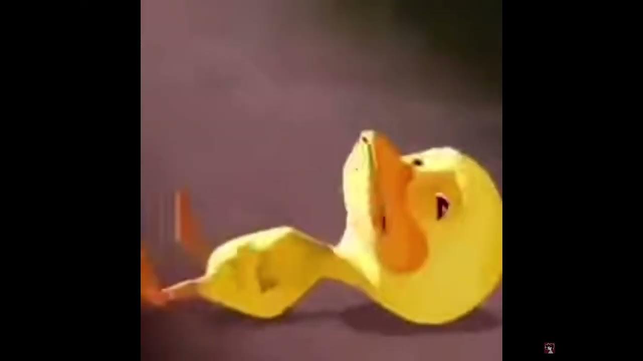 Duck crying meme YouTube