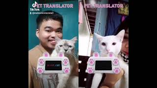 pet translator