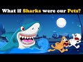 What if Sharks were our Pets? + more videos | #aumsum #kids #children #education #whatif