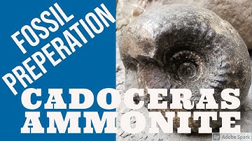 Fossil preparation Time lapse - Cadoceras fossil ammonite prep