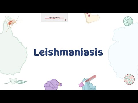 Video: Apa itu leishmaniasis pada anjing?