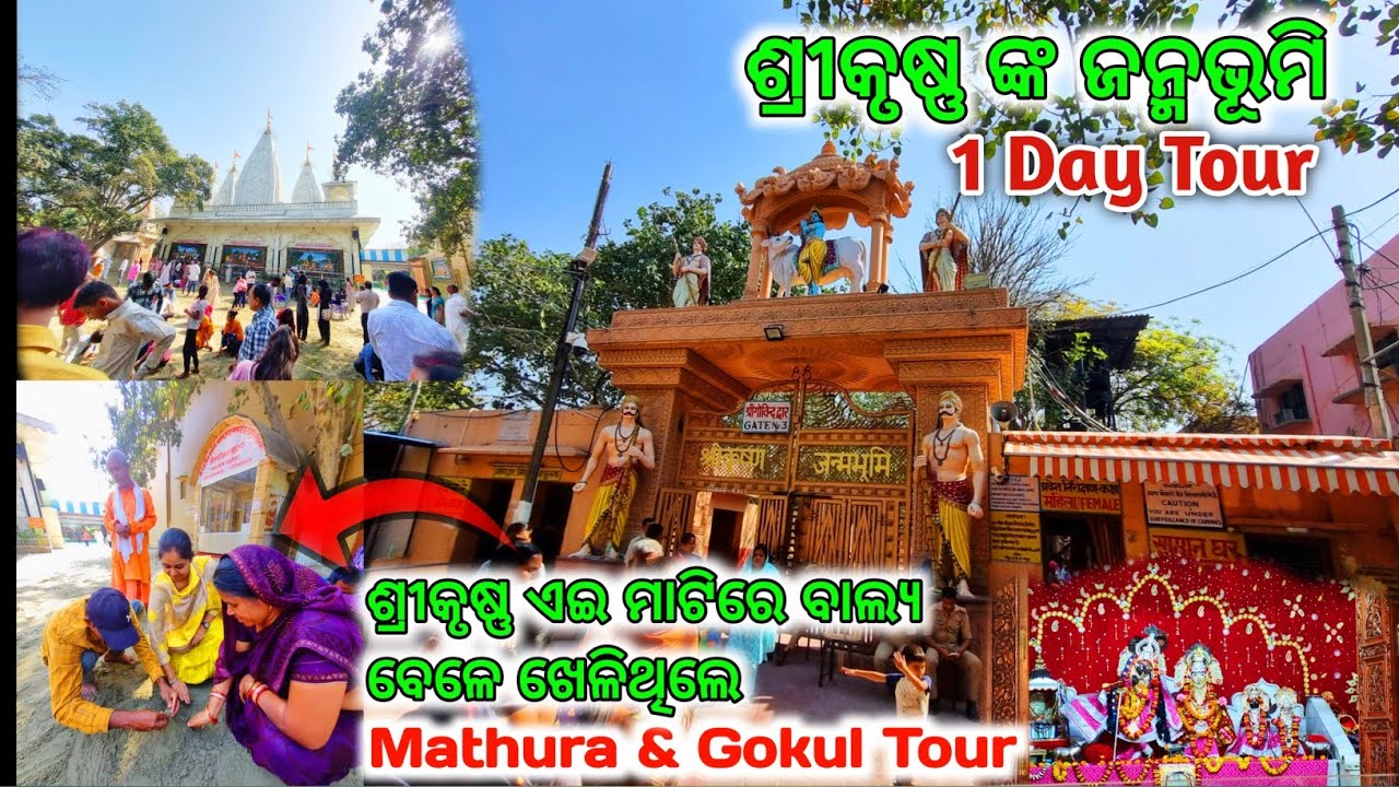 ଆସନ୍ତୁ ଯିବା ମଥୁରା ରେ ଥିବା କିଛି  ପ୍ରମୁଖ ମନ୍ଦିର | Vrindavan Mathura TOUR EPISODE 6 | The Ripan Blogger