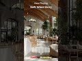 Soft Wind Story - Soft Happy Cafe Music ☕ Bright Chill Playlist ☕ 봄 카페 음악 플레이리스트 🌸