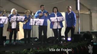 Video thumbnail of "Vila de Frades"