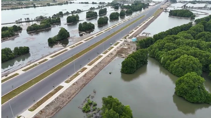 Episode 6: Net Zero – What It Really Means