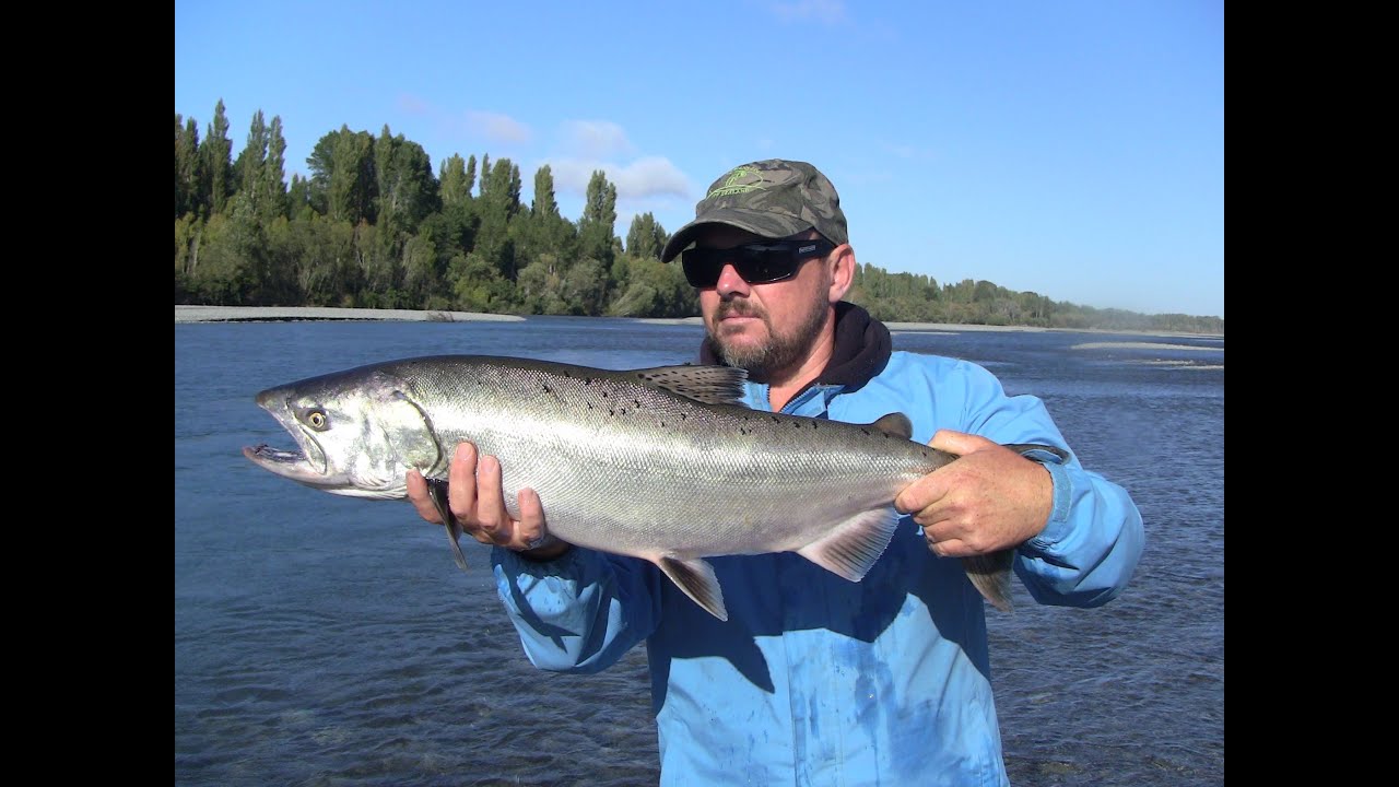 Salmon fishing in New Zealand..Waimakariri river Chinook 1080HD YouTube