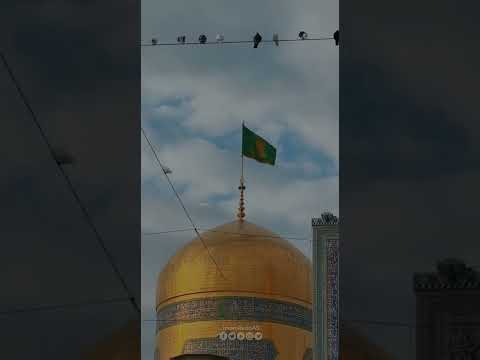 اللهم صل على علي بن موسى الرضا المرتضى الإمام التقي النقي وحجتك على من فوق الأرض ومن تحت الثرى