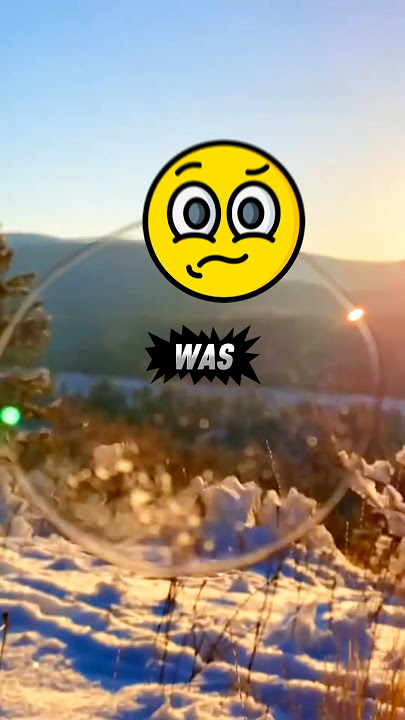 School Alarms   Sleepy Brain = Disaster@tyler.vitelli