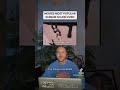 This Scream Sound Is Used In Hundreds Of Movies The Wilhelm Scream Shorts Movies Soundeffects This Scream Sound Is Used In Hundreds Of Movies The Wilhelm Scream Shorts Movies Soundeffects
