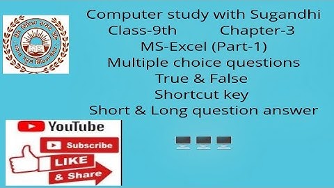 PSEB class 9th chapter 3 MS Excel PART-3(MCQ,T/F, Shortcut key,Short &Long question/answer)
