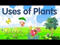 Uses of plants for kids  plants and their uses  plants uses