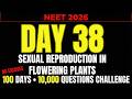 NEET 2026 | DAY 38 || SEXUAL REPRODUCTION IN FLOWERING PLANTS|| 100 DAY 10000 QUESTION CHALLENGE