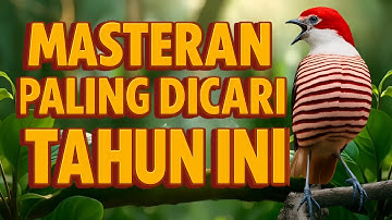 MASTERAN BURUNG PALING DICARI TAHUN INI – UNTUK SEMUA JENIS BURUNG #muraibatu #kacer #cucakijo