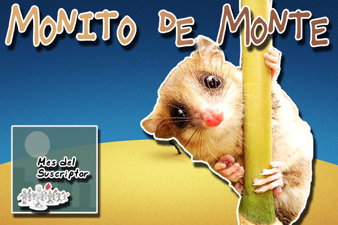 Colocolo opossum (The disseminator of the Andes) | Animal World | (Subscriber Month) animals worksheet