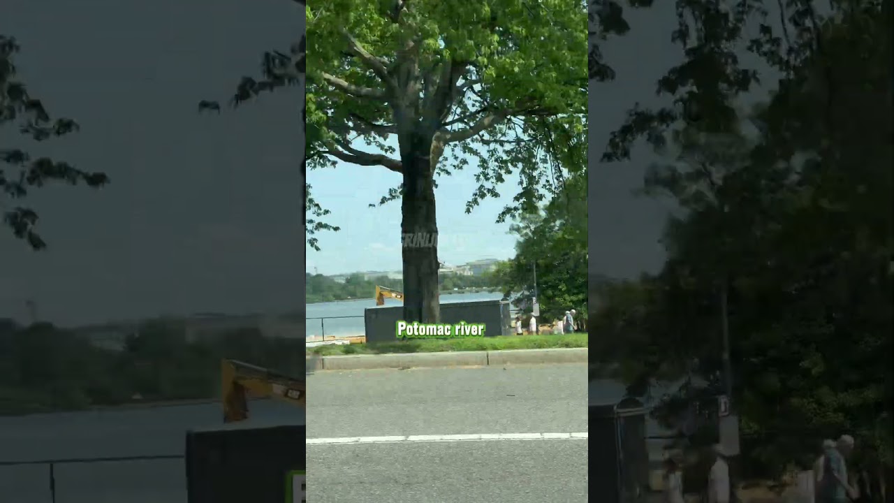 Thomas Jefferson memorial 