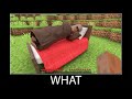 Minecraft wait what meme part 293 realistic minecraft Bed