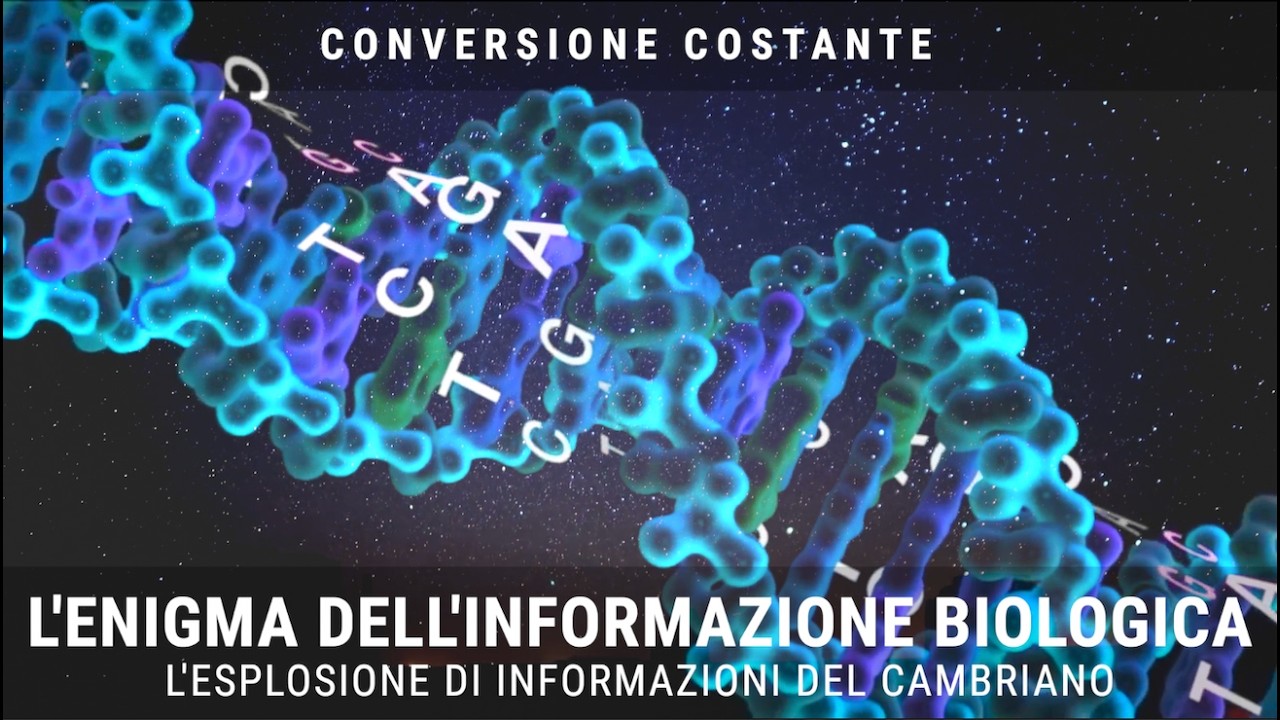 L'ENIGMA DELL'INFORMAZIONE BIOLOGICA   L'ESPOLOSIONE DEL CAMBRIANO  Con S  Meyer e D  Axe