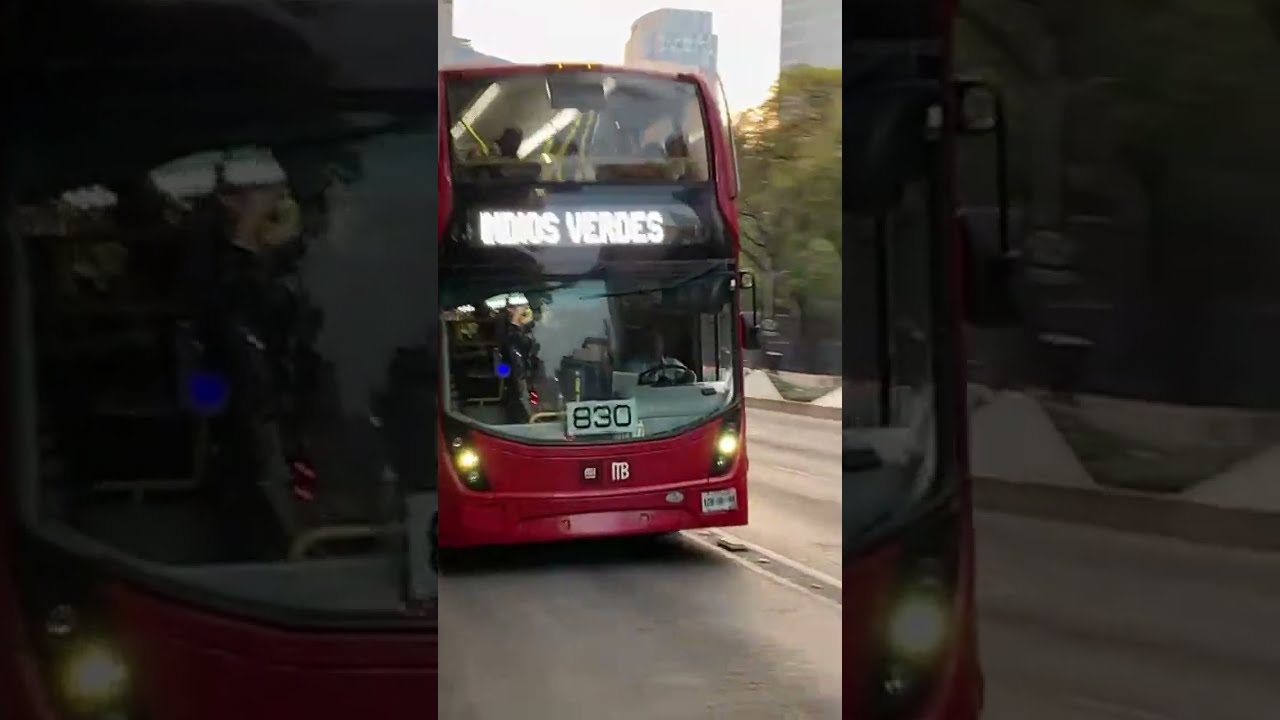 MetroBus CDMX on Calle Reforma | Metro and Transit in Mexico City