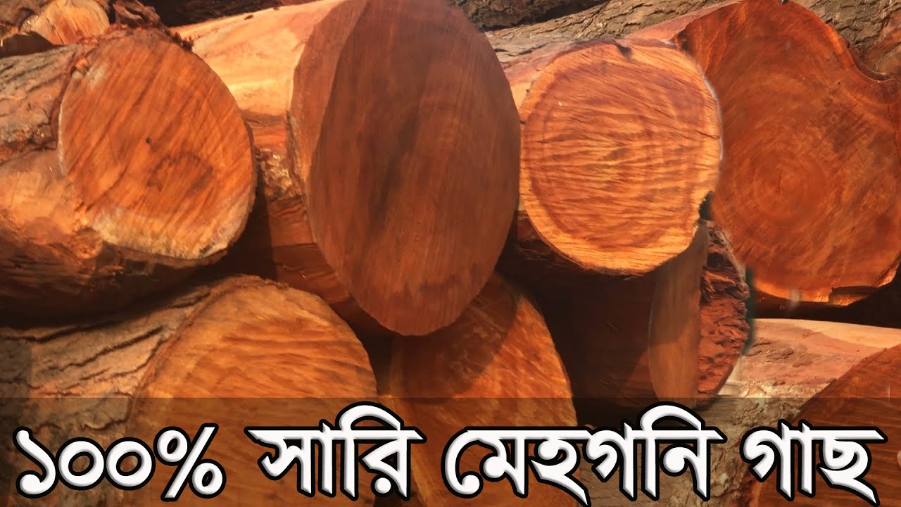 কম বাজেটে🔥100% সারি মেহগনি কাঠের দরজা ও চৌকাঠ। kather dorja design price in bangladesh