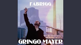 Video thumbnail of "Gringo Mayer - Fabrigg"