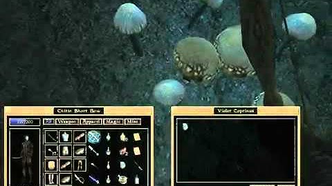 Lets Interactively Play Morrowind Part 10  The Lords Mail part 3 of 5