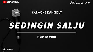 Download lagu SEDINGIN SALJU - EVIE TAMALAH KARAOKE DANGDUT NADA PRIA
