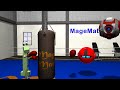 Mage Math Video Quiz