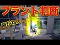 圧倒的プラント力‼︎‼︎見せてやるぜ‼︎‼︎
