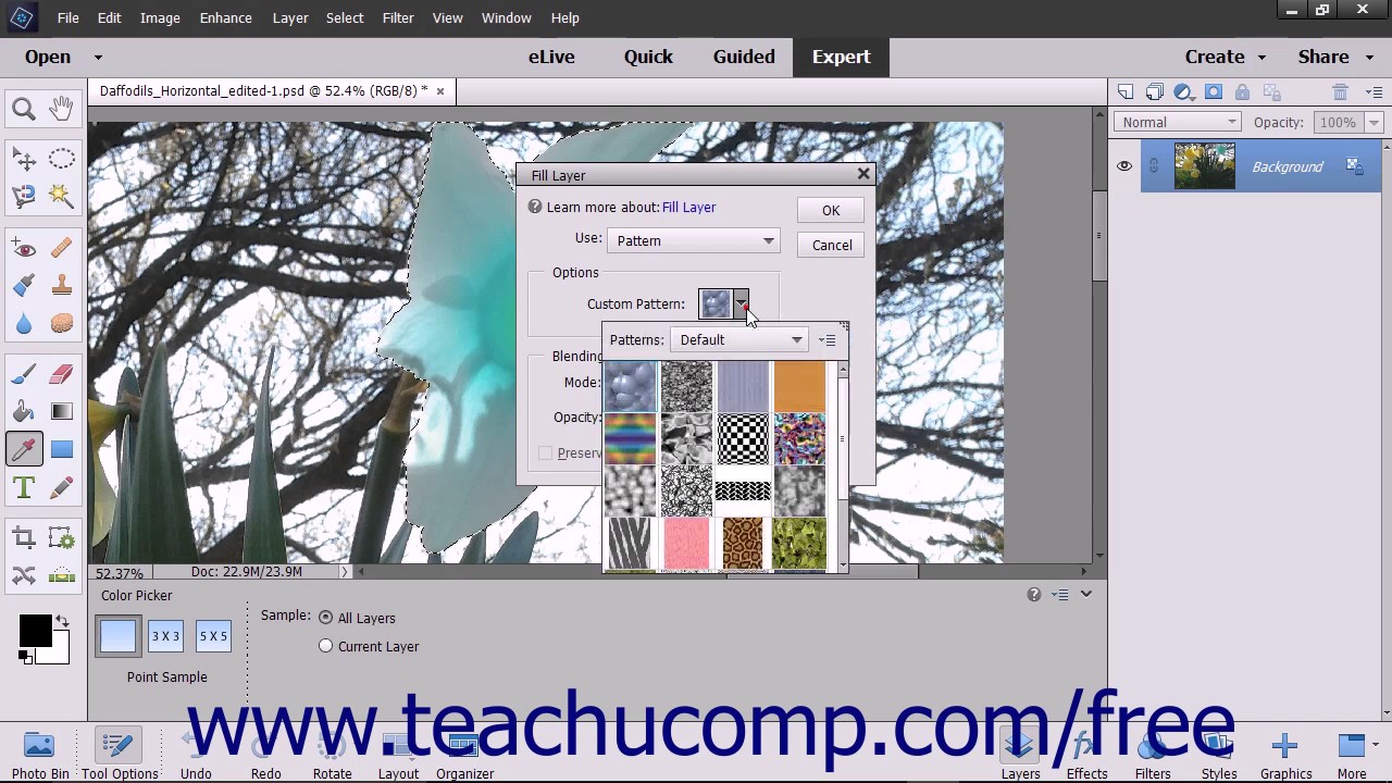 adobe photoshop elements training adobe photoshop elements training