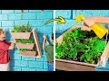 Jardinería Vertical: Consejos para plantas de interior y exterior🌿🪴🧑‍🌾