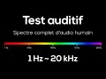  test daudition  domicile  1 hz  20 000 hz  spectre complet de laudio humain 