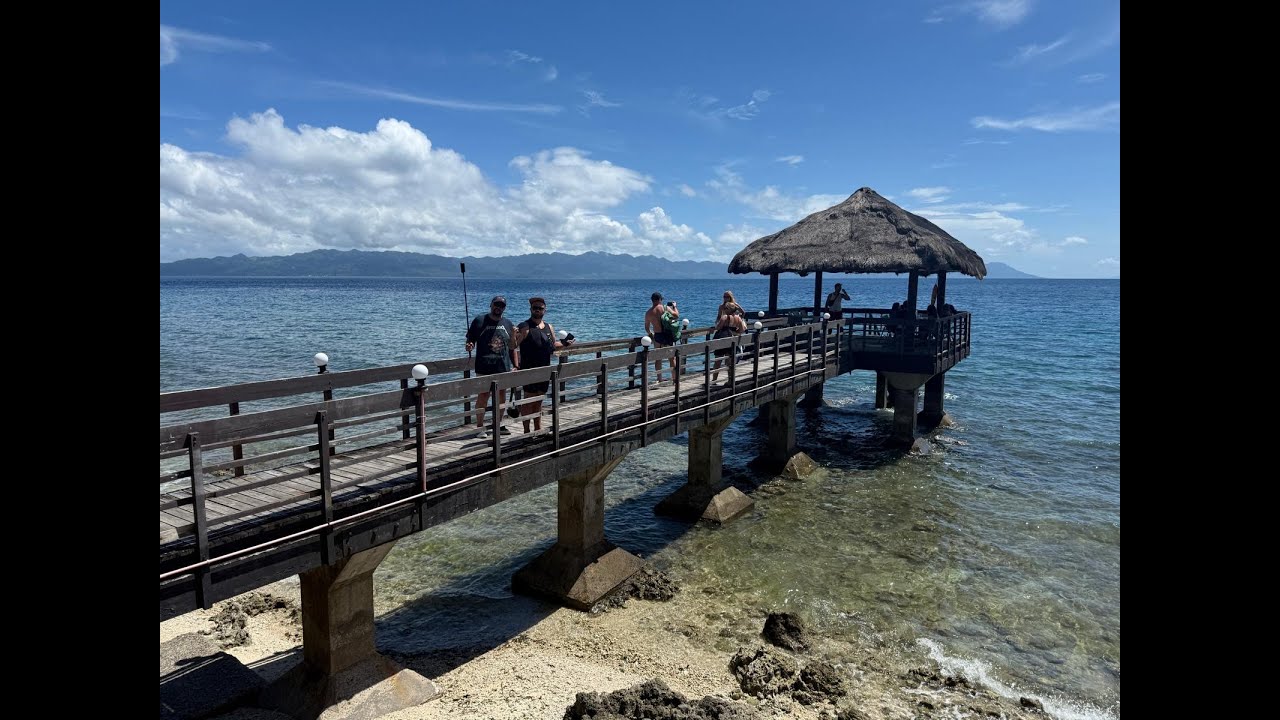 Diving Safari Philippines 02.2025