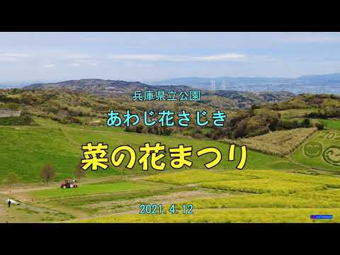 淡路花さじき菜の花まつり 4k Youtube 淡路花さじき菜の花まつり 4k Youtube