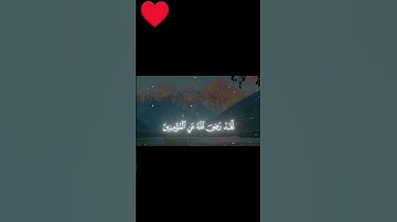 ليس على الأعمي حرج سورة الفتحالشيخ ياسر الدوسري