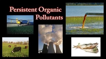 IMNow! A4M Paradigm Shift...You eat 2,000 pounds of food a year