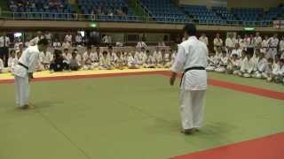 Aikido - Fight - Toshu Randori - Tomiki style