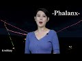 【ai × Commentary】Phalanx Close-in Weapon System (CIWS).