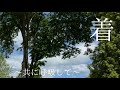 ヒメベニサクラが5回目の交配に行ってまいりました☘️☘️