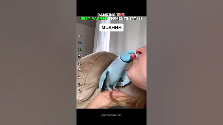 Best Parrot Moments Ever (pt-2)🤯