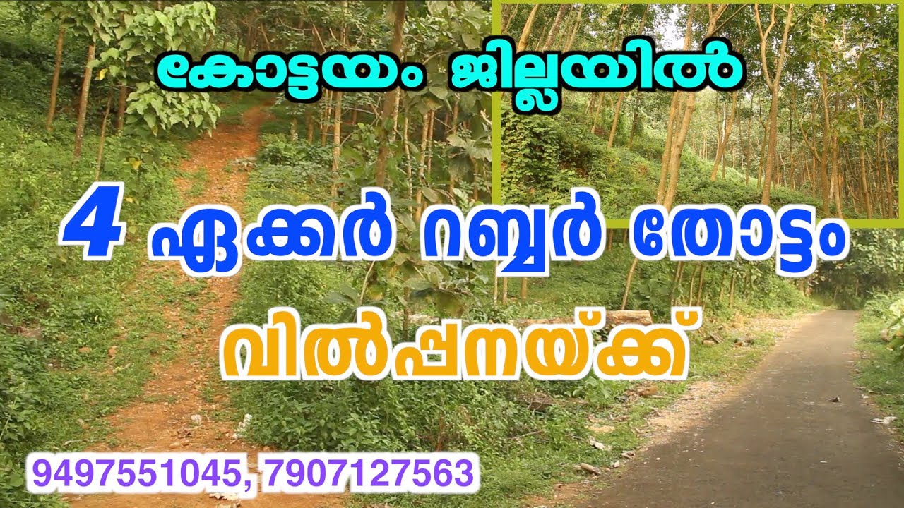 Land for sale in kottayam Agricultural land in kottayam SALI KTM 10