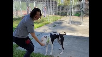 Training Tip: Engage, Disengage